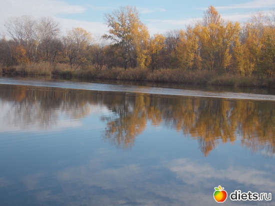 1 ����: ���������