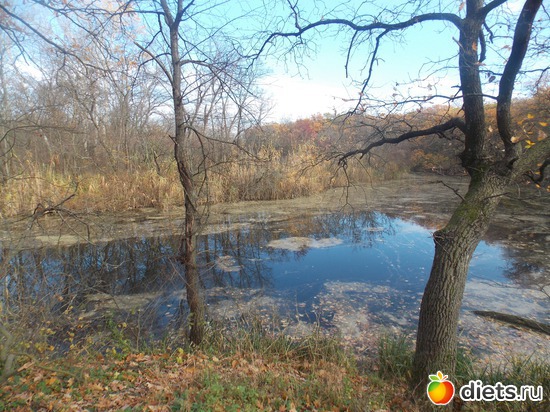 2 ����: ���������