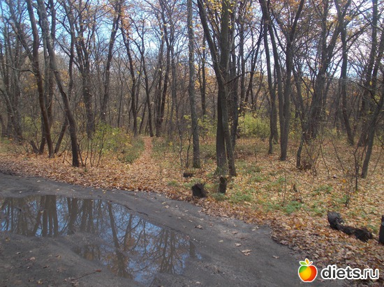 3 ����: ���������