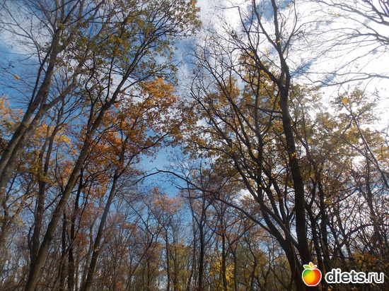 4 ����: ���������