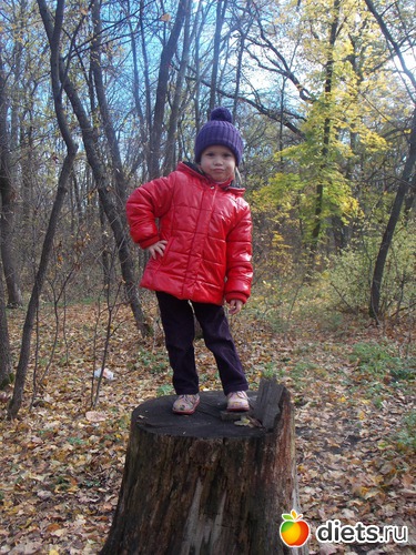 5 ����: ���������