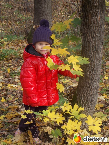 8 ����: ���������