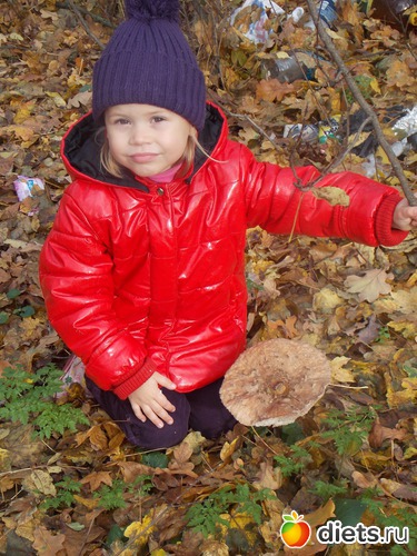 7 ����: ���������