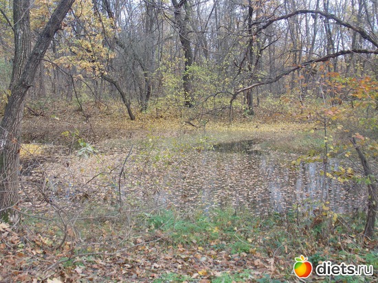 9 ����: ���������