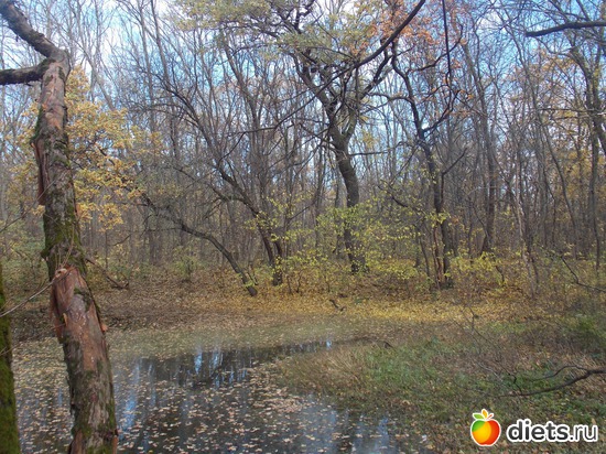 11 ����: ���������