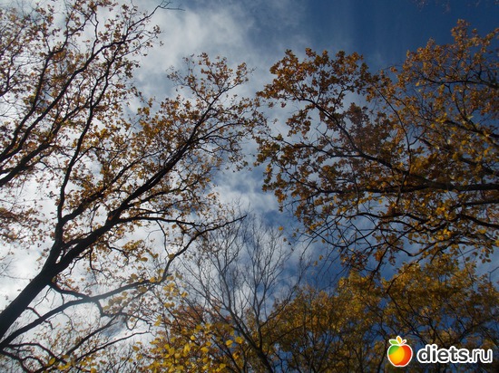 12 ����: ���������