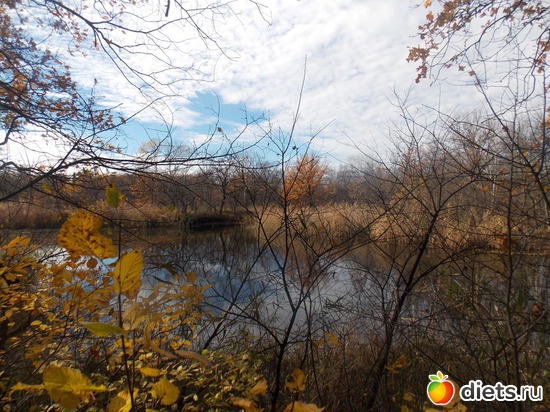 15 ����: ���������