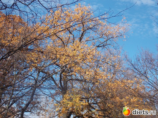 16 ����: ���������