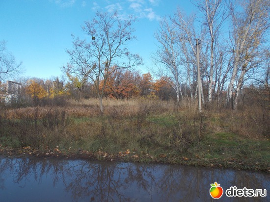 18 ����: ���������