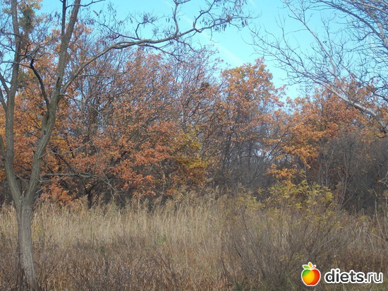 19 ����: ���������