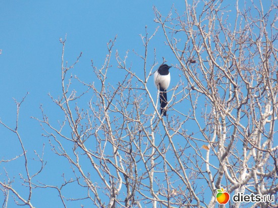 20 ����: ���������