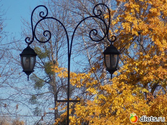 23 ����: ���������