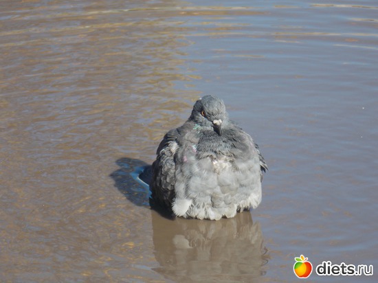 24 ����: ���������