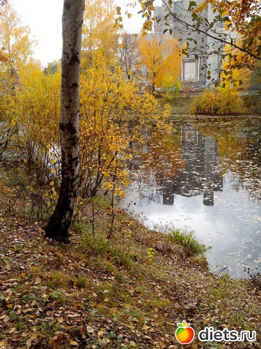 1 ����: �����