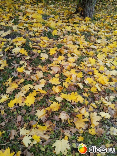 2 ����: �����