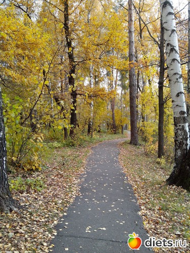 3 ����: �����