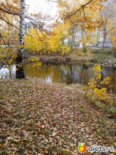 4 ����: �����