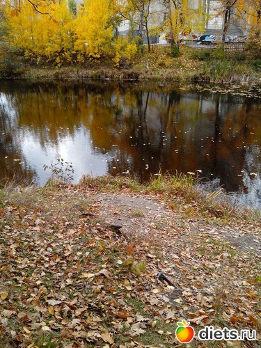 5 ����: �����