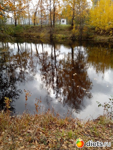 6 ����: �����