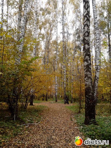 7 ����: �����