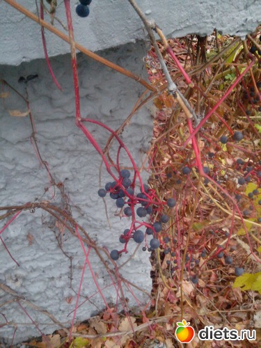 9 ����: �����