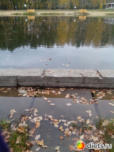 10 ����: �����