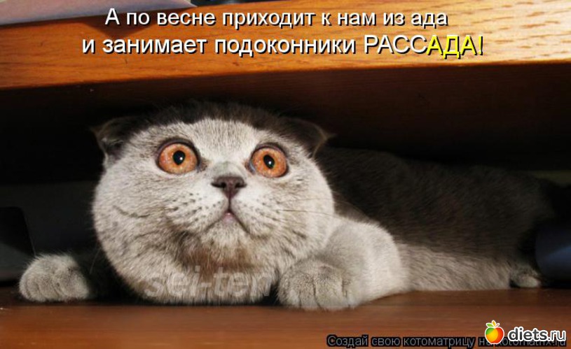 1 ����: ����������� 3