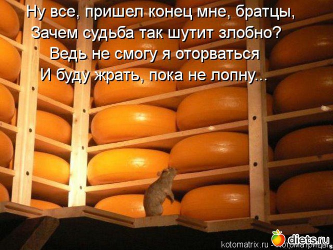 2 ����: ����������� 3