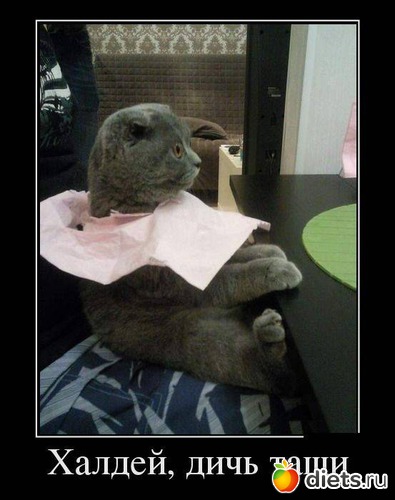 5 ����: ����������� 3