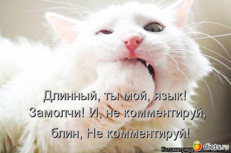 6 ����: ����������� 3