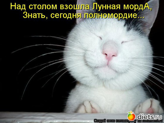 7 ����: ����������� 3