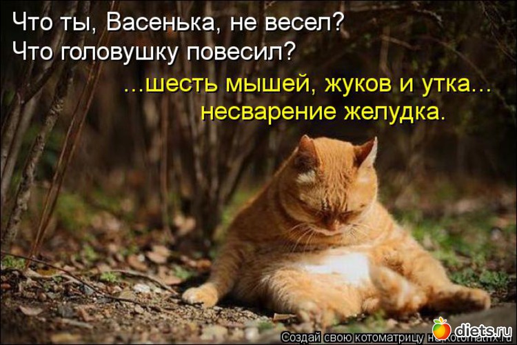 8 ����: ����������� 3