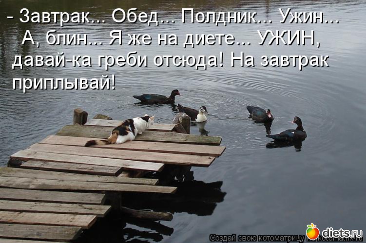 9 ����: ����������� 3