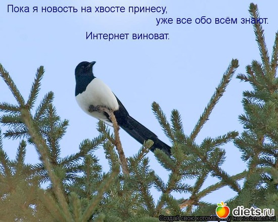 10 ����: ����������� 3