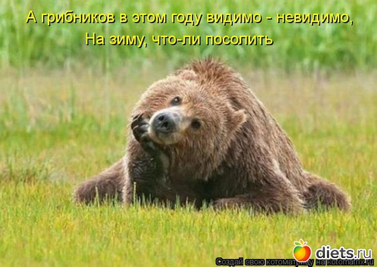 11 ����: ����������� 3