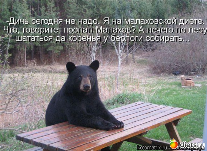 12 ����: ����������� 3