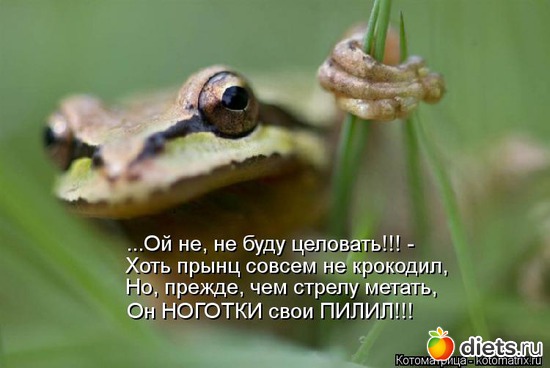 13 ����: ����������� 3