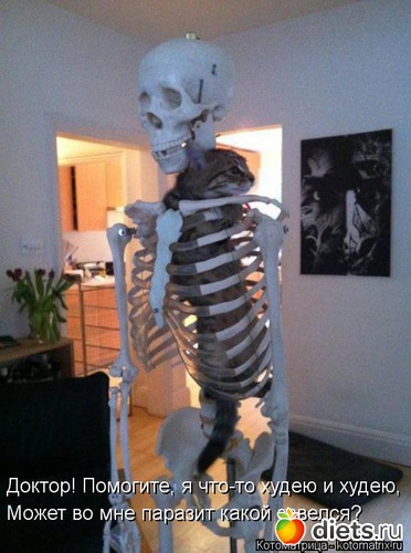 14 ����: ����������� 3