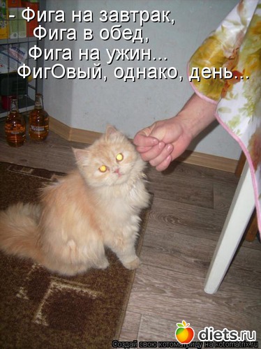 15 ����: ����������� 3