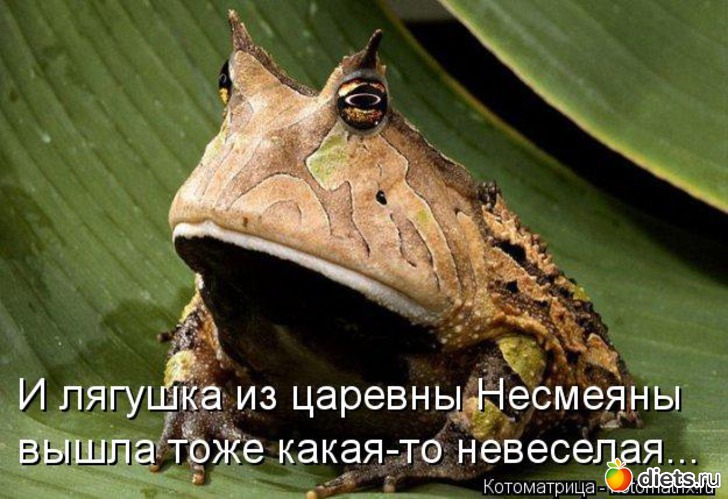 17 ����: ����������� 3