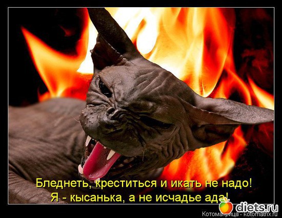 18 ����: ����������� 3