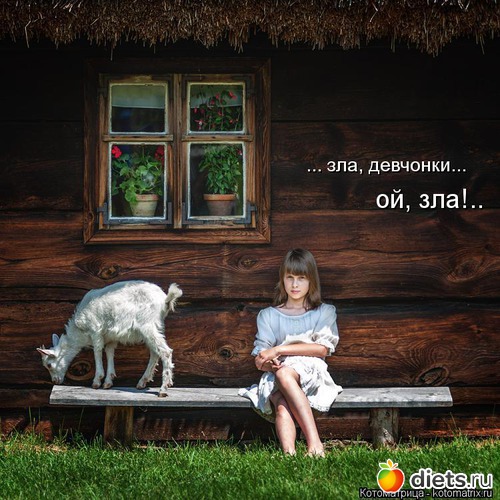 19 ����: ����������� 3