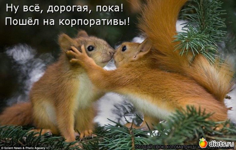 20 ����: ����������� 3