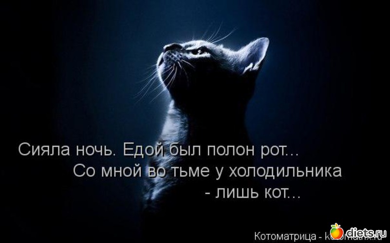 21 ����: ����������� 3