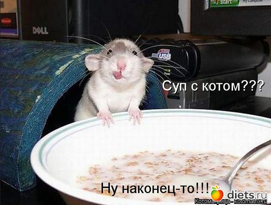 22 ����: ����������� 3