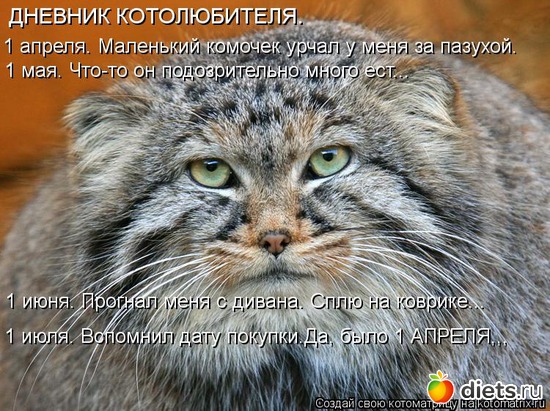 23 ����: ����������� 3