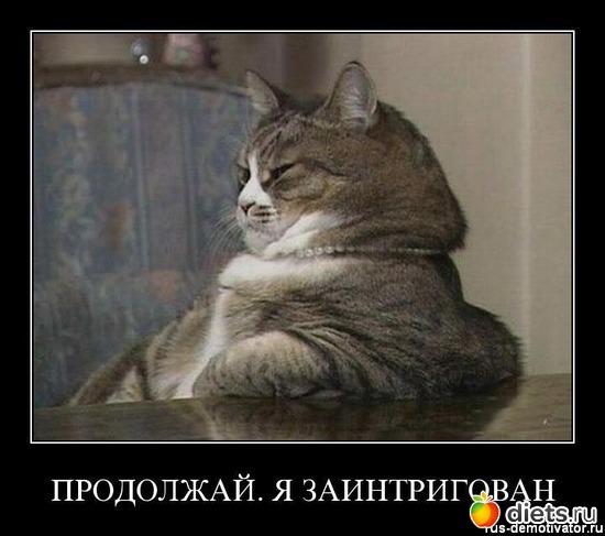 24 ����: ����������� 3