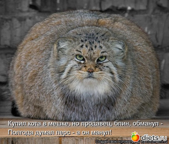 25 ����: ����������� 3