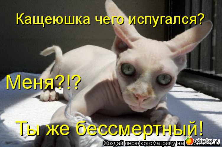 26 ����: ����������� 3