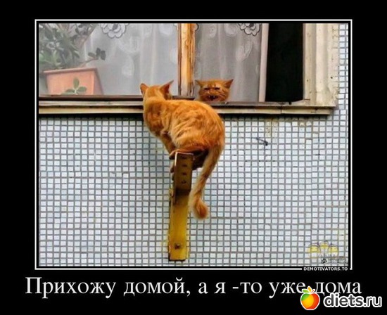 29 ����: ����������� 3